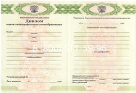 Диплом Санкт-Петербургского художественного училища им. Н.К. Рериха 2014-2024 годов Диплом Санкт-Петербургского художественного училища им. Н.К. Рериха 2014-2024 годов
