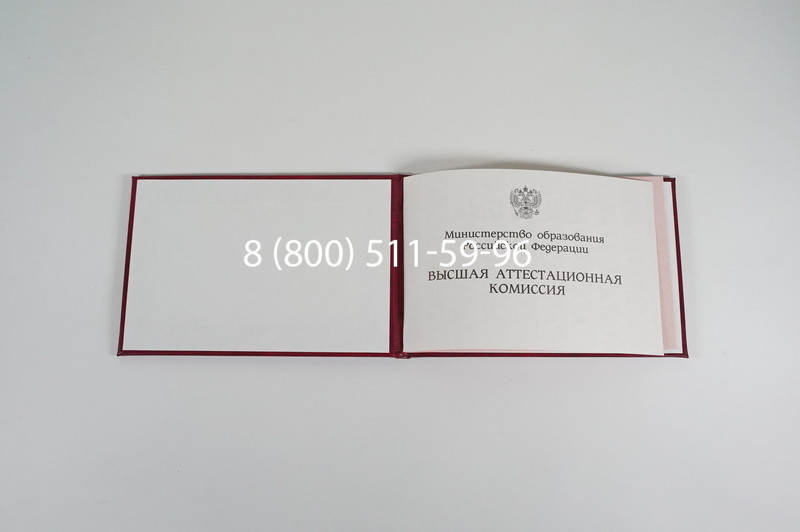 Диплом доктора наук 1995-2006 года в Москве Диплом доктора наук 1995-2006 года в Москве